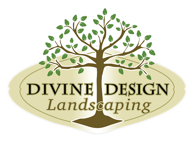  in Phoenix AZ from Divine Design Landscaping