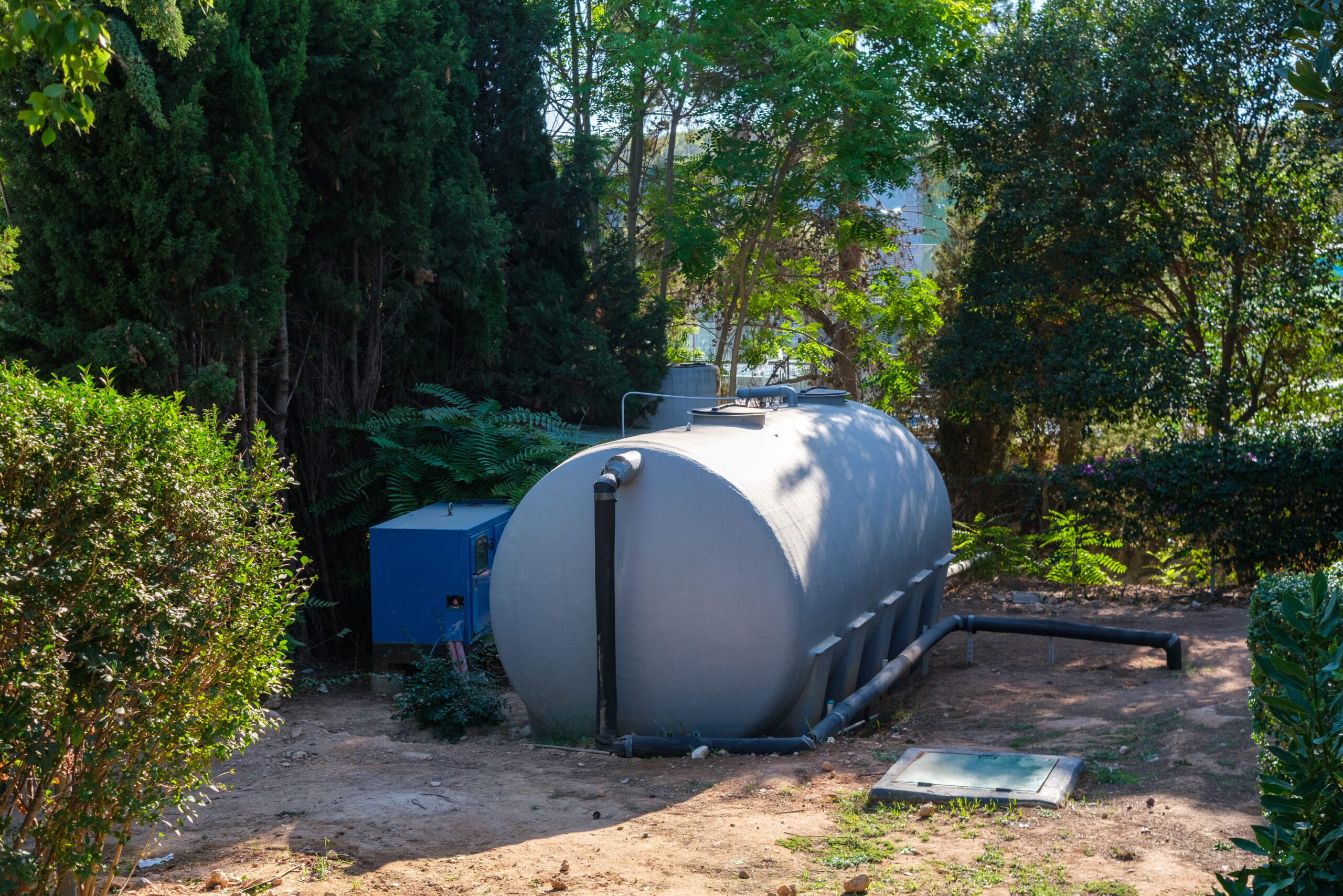 Adobestock 1791172853