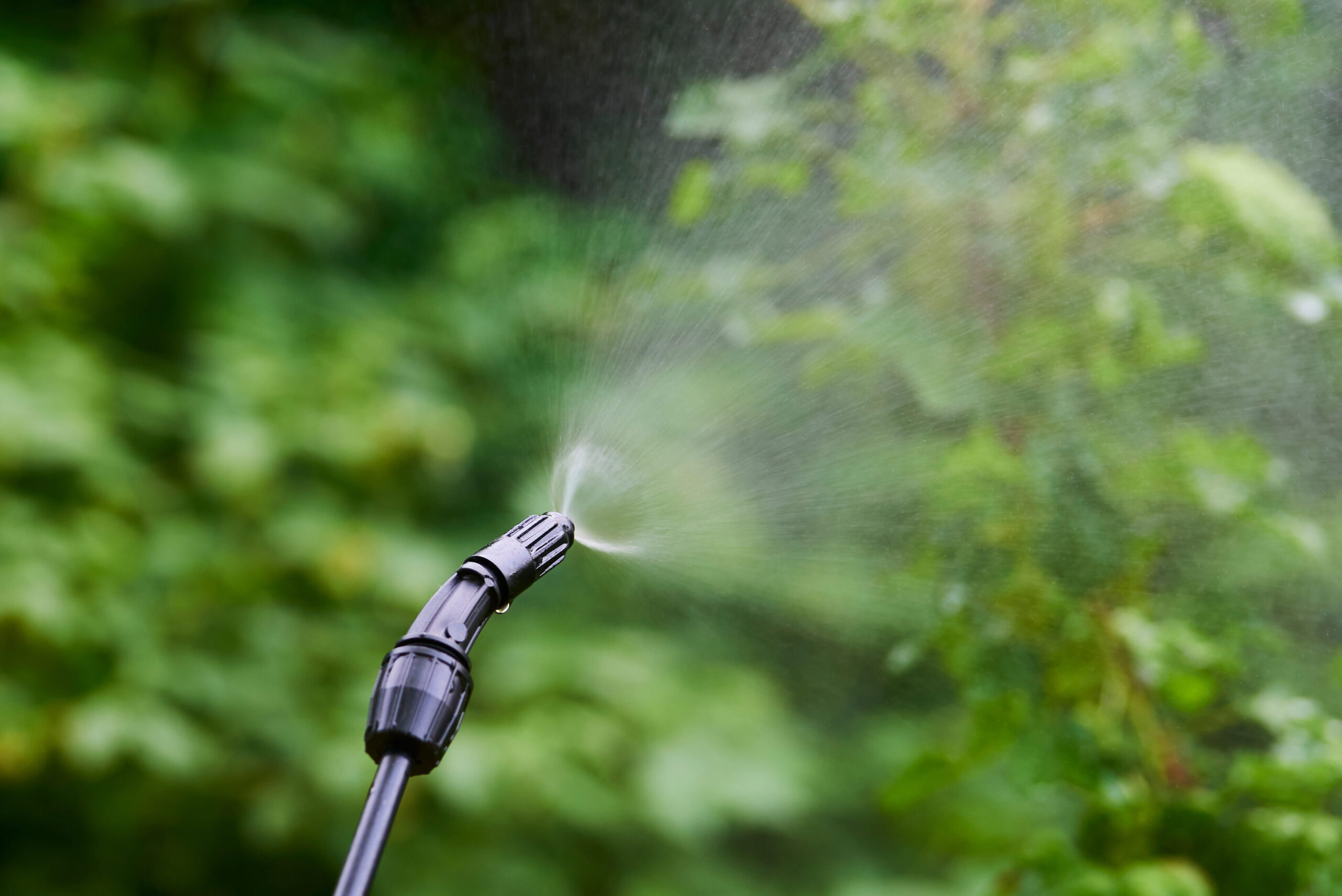 Adobestock 509039823